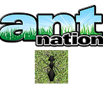 Wii Menu Banner & Data - Ant Nation