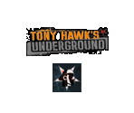 Memory Card Data - Tony Hawk's Underground