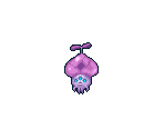 Propeller Squid - Canary