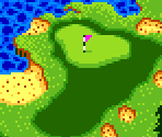 Course Type B #11 - Scratch Golf