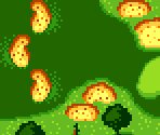 Course Type B #15 - Scratch Golf
