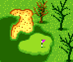 Course Type B #16 - Scratch Golf