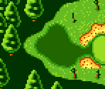Course Type B #18 - Scratch Golf