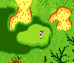 Course Type A #04 - Scratch Golf