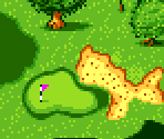 Course Type A #06 - Scratch Golf