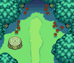 Sinister Woods Entrance - Pokémon Mystery Dungeon: Red Rescue Team