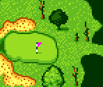 Course Type A #13 - Scratch Golf