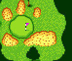 Course Type A #16 - Scratch Golf