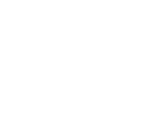 Spider Webs (Ready Repair) - KinitoPET