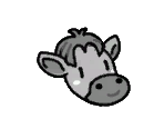 Cow - Toem: A Photo Adventure