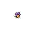 014 Brawliflower - Magical Starsign