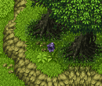 Lost Forest - Treasure of the Rudras / Rudra no Hihou (JPN)
