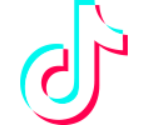 TikTok Icon - Bleach: The High School Warfare