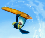 Game Banner & Icon - Surf's Up