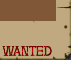 Wanted Poster / Baddie Promo - Metal Max Returns (JPN)
