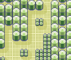 Fortree Gym - Pokémon Emerald