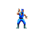 Sam the Ninja - Ninja Five-O / Ninja Cop