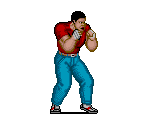 Mike - Street Fighter