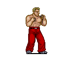 Joe - Street Fighter
