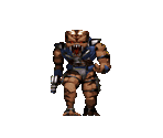 Assault Trooper & Assault Captain - Duke Nukem 3D