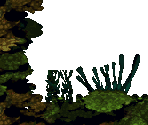 Clam City - Donkey Kong Country