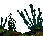 Coral Capers - Donkey Kong Country