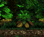 Forest Frenzy - Bonus 2 - Donkey Kong Country