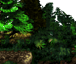 Vulture Culture - Bonus 3 - Donkey Kong Country