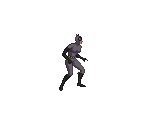Catwoman - The Adventures of Batman and Robin