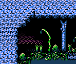 Forest Maze - Crystalis / God Slayer