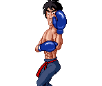 Dragon Chan - Super Punch-Out!!