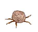 Molluska - Zelda's Adventure