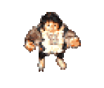 Ryco - Zelda's Adventure