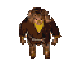Quarry Owner - Zelda's Adventure