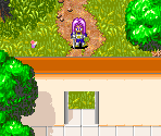 Warlord's Domain - Dragon Ball Z: The Legacy of Goku II
