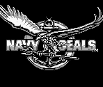 Introduction - Navy SEALs