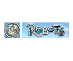 Memory Card Data - Robots