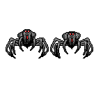 Albino Spider - Islands of the Caliph