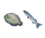 Fish - Islands of the Caliph