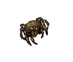 Spider - Islands of the Caliph