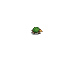 Turtle (Green) - Stardew Valley