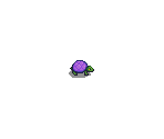 Turtle (Purple) - Stardew Valley