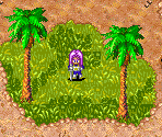 Southern Continent - Dragon Ball Z: The Legacy of Goku II