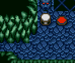 Turtle Altar - Sylvan Tale