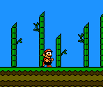 Chai Kingdom (SML2-Style) - Mario Customs