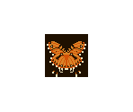Butterflies - Curious Expedition