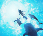 HOME Menu Icon - Endless Ocean Luminous