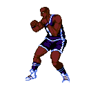 SlamDunk - Shadow Fighter