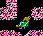 Level 3-1: Coral Reef - Barbie