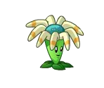 Bloomerang - Plants vs. Zombies Pinyin Adventure